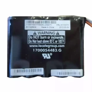 Originalna baterija za IBM ServeRAID X3650 M4 M5110,M5110E