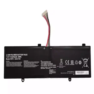 Baterija za prenosnik GAS-F20