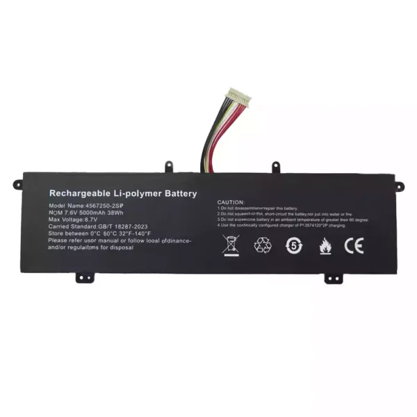 Baterija za prenosnik 4567250-2SP
